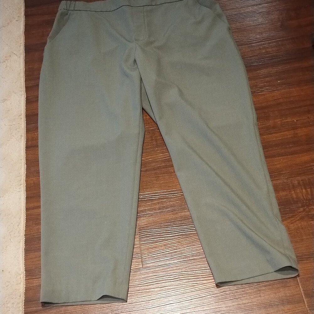 Gap Pull On Pants